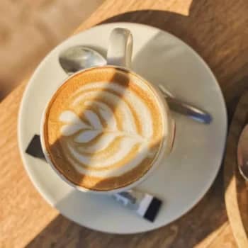 barista cappuccino swing gouda latte art