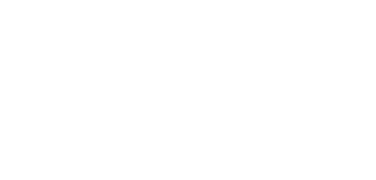 Swing Gouda logo